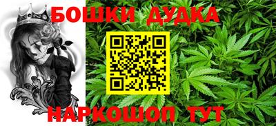 мдпв Гай