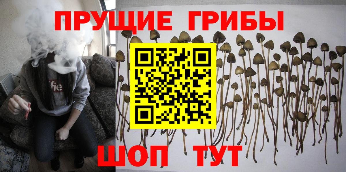 Галлюциногенные грибы GOLDEN TEACHER  Вход с VPN  Мытищи 