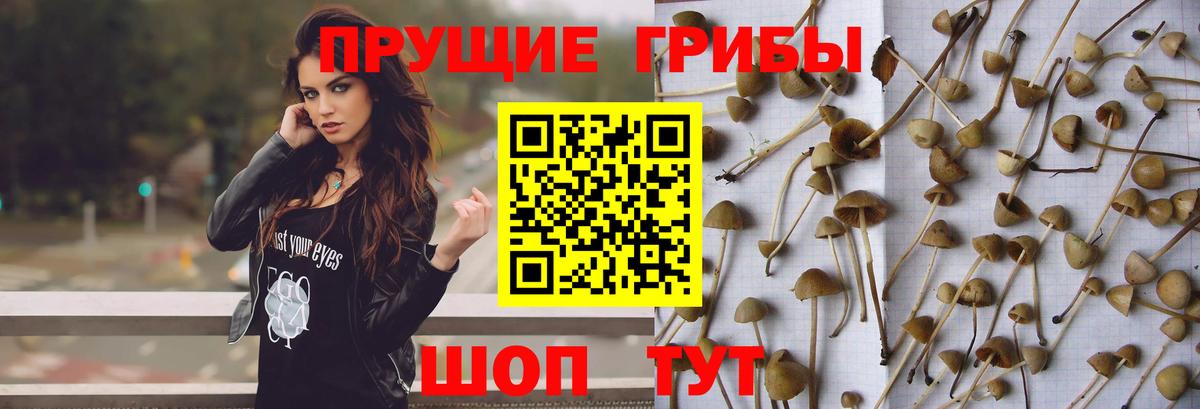 Галлюциногенные грибы мухоморы Мытищи